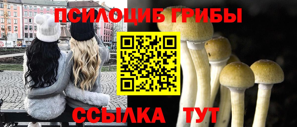 Псилоцибиновые грибы ЛСД  Вход с VPN  Донской 